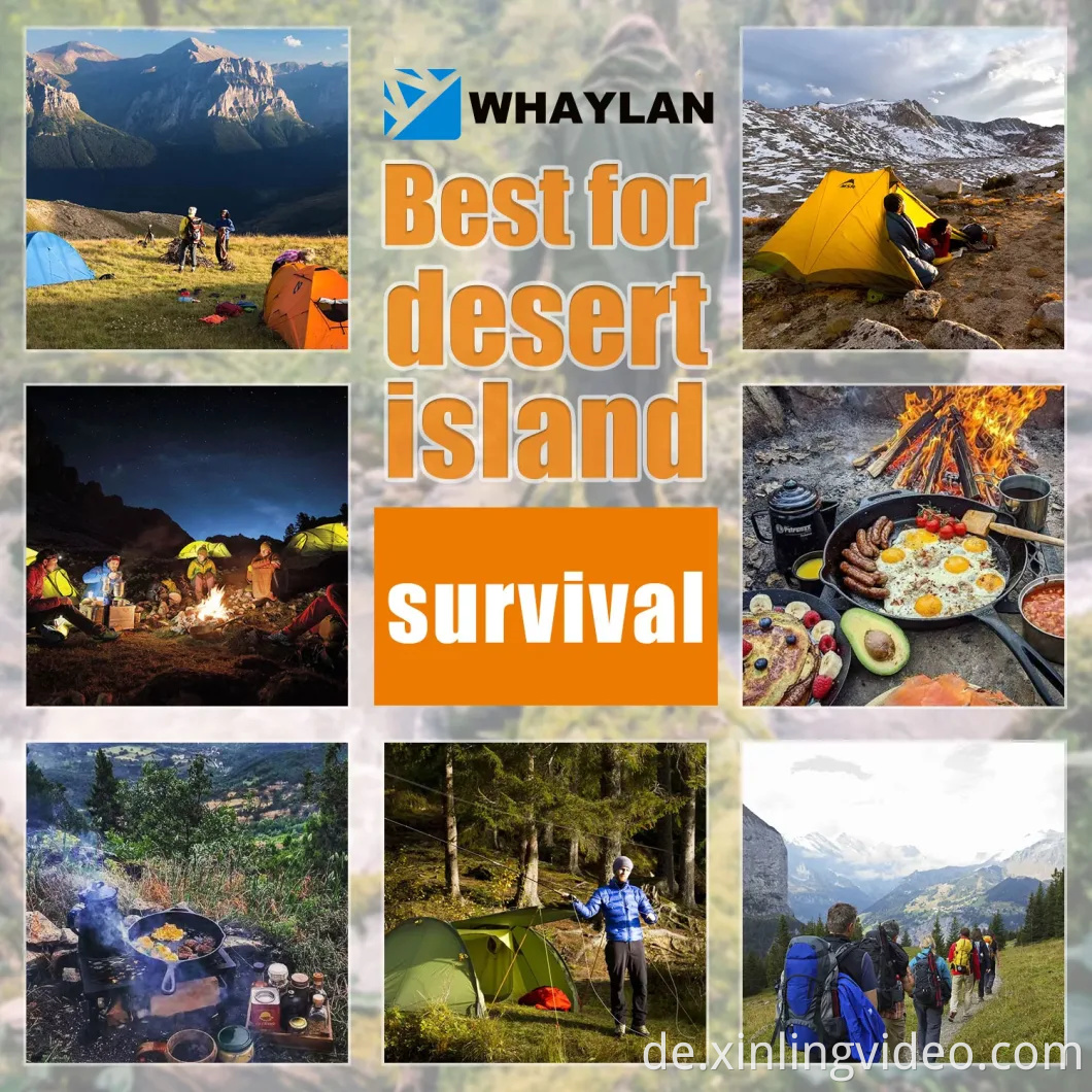 Whaylan 300W Outdoor Camping Solar Generator LifePO4 Batterie Tragbares Solarkraftwerk